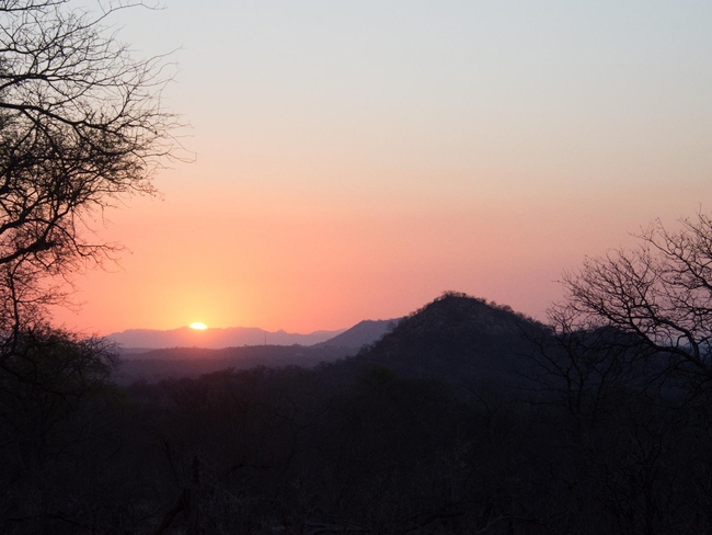 Kingly Conservation Camp