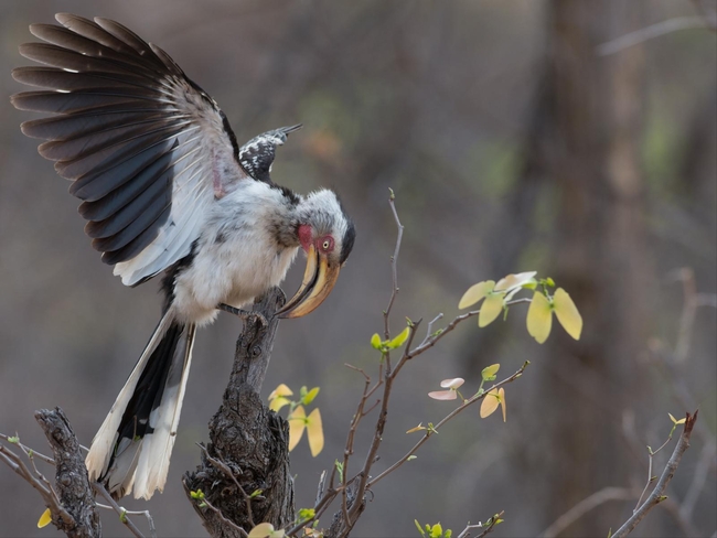 Kingly Conservation Camp