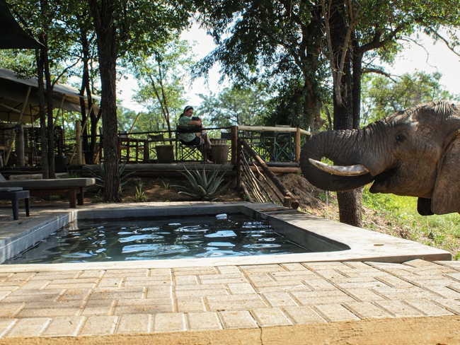 Khanya Tented Camp