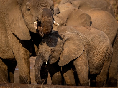 Khanya Tented Camp