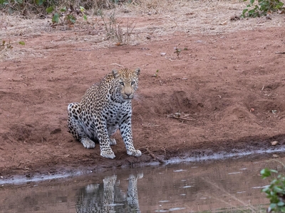 Khanya Tented Camp