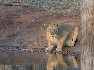 Khanya Tented Camp