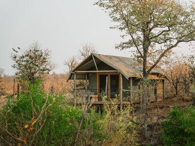 Luxe Safari Tent 1