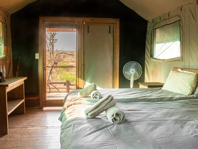 Luxe Safari Tent 1
