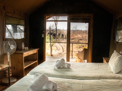 Luxe Safari Tent 1
