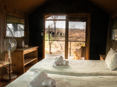 Luxe Safari Tent 2
