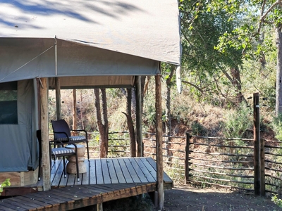 Luxe Safari Tent 2