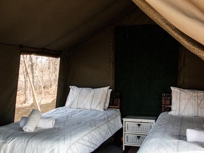 Safari Tent 4