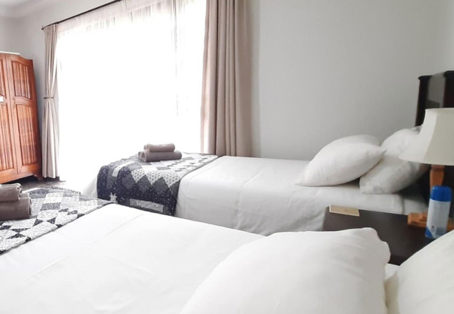 Standard Twin / King Room