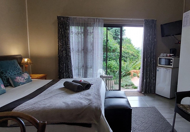 Queen room with garden view