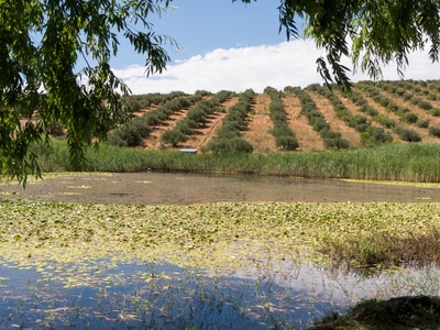 Kleinkloof Farm