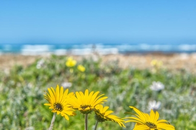 Klein Steenbok Beachhouse
