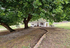 The Milking Shed