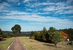 Knysna Forest View
