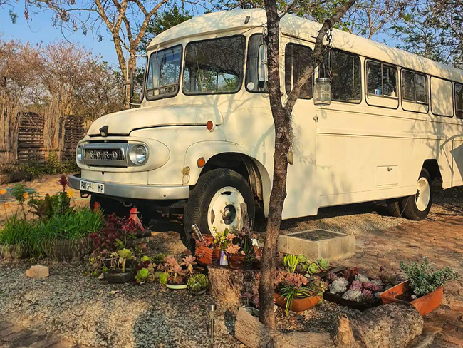 Kokiville School Bus