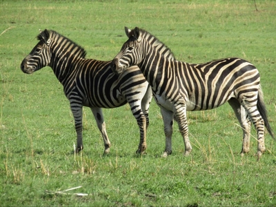 Komati Gorge Lodge