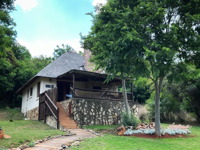 Leopard Suites