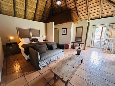 Aloe Suite