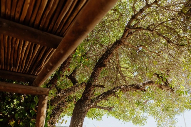 Komyntjie 1 (sleeps 4)