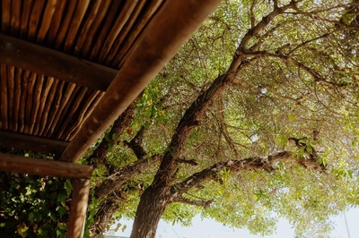 Komyntjie 1 (sleeps 4)