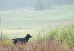 Korongo Valley Guest Farm