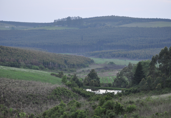 Korongo Valley Guest Farm