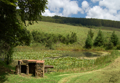 Korongo Valley Guest Farm