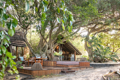 Kosi Forest Lodge