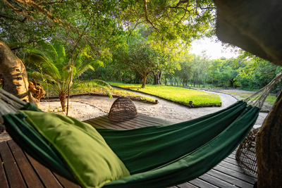 Kosi Forest Lodge