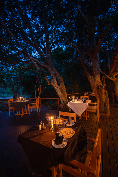 Kosi Forest Lodge