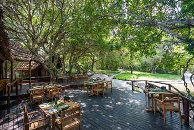 Kosi Forest Lodge
