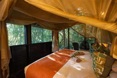 Family Rooms