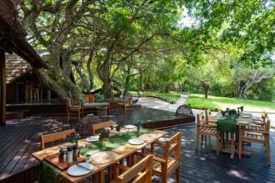 Kosi Forest Lodge