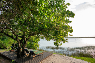Kosi Forest Lodge