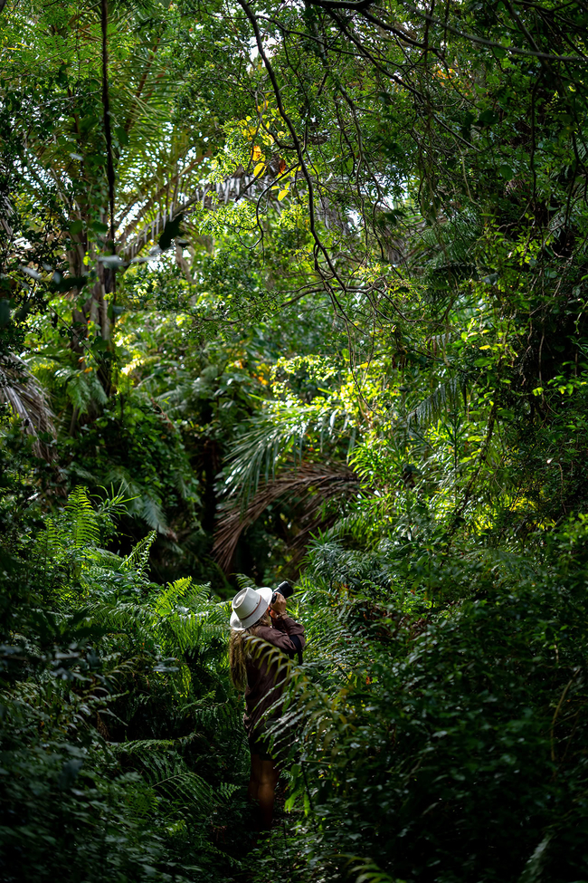 Raphia Forest Walk