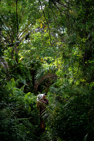 Raphia Forest Walk