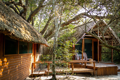 Kosi Forest Lodge