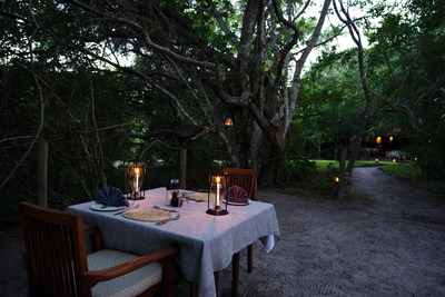 Kosi Forest Lodge