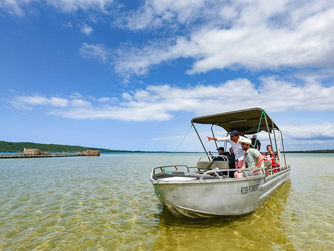 Boat Excursion
