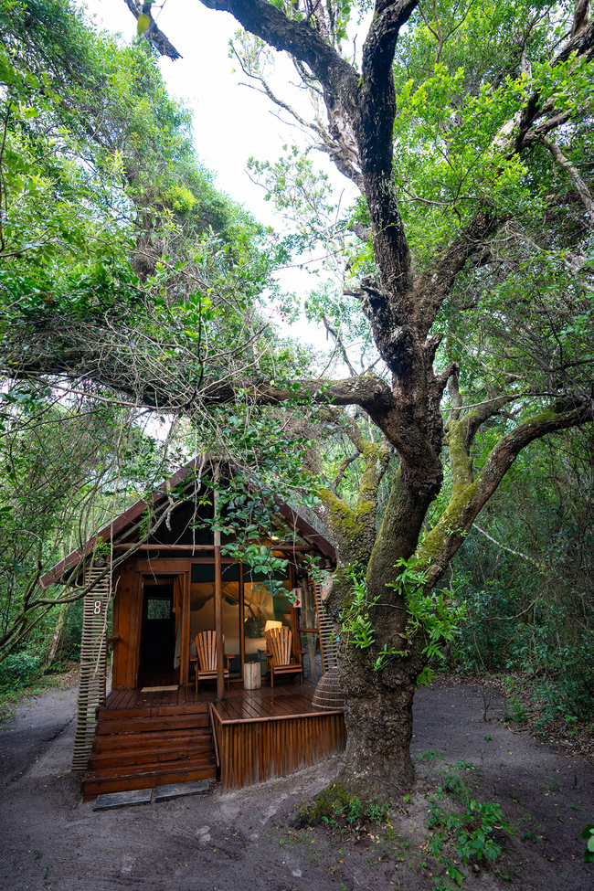 Double / Twin Rooms
