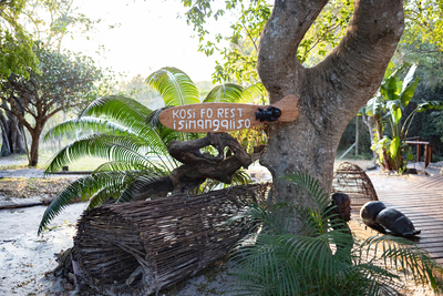 Kosi Forest Lodge