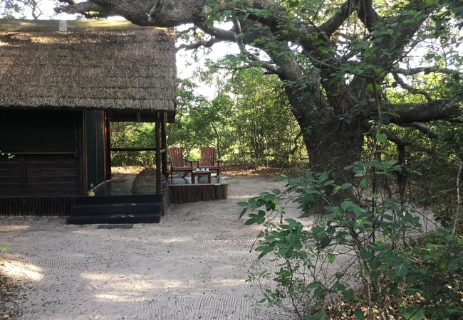 Rooms nestled in forest