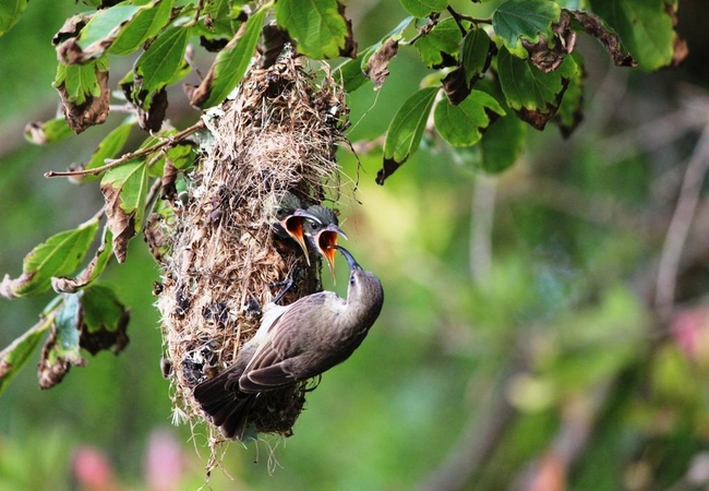 Kowie River Guest House