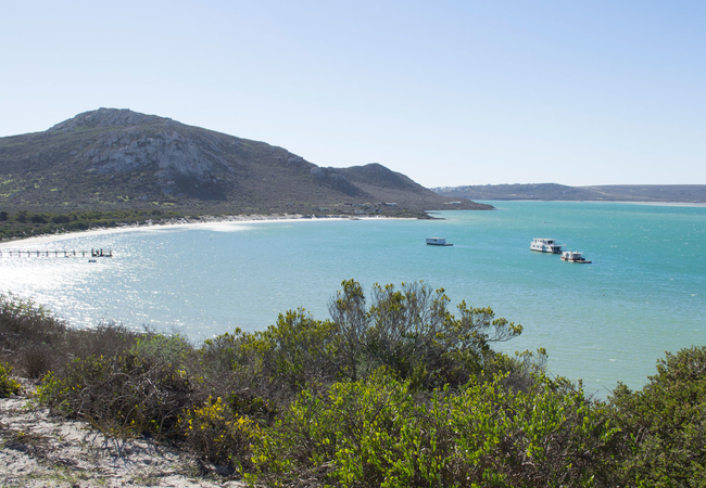 Kraalbaai Luxury House Boats