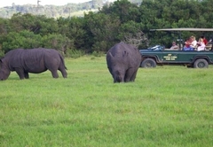 Kragga Kamma Game Park 