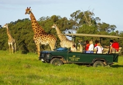 Kragga Kamma Game Park 