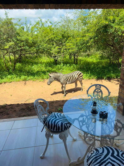 Family Suite - Refreshing Path