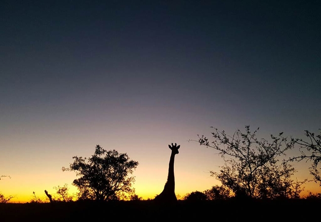 Kruger Elephant Point Lodge