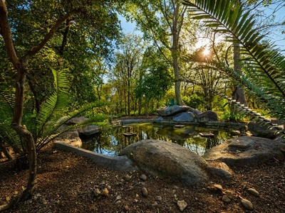 Kruger Hippo Retreat