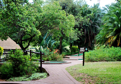 Kruger Park Lodge 543